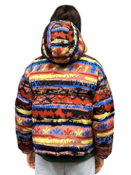 Men’s Warm Multicolor Hooded Printed Puffer Jacket